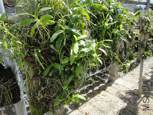 ��ϸ�������ϰ�úܼ򵥣�����ô����ȥ���ѣ��϶�ʡ��