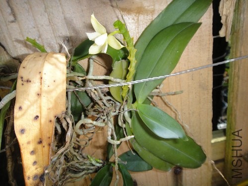 һ��ľ�����ô����ȥ�������ˣ�����Ҳͦ�õ�