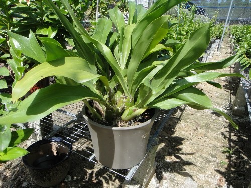 ��������ɶ��