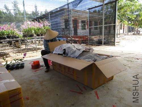 �����ڴ��׼������ͼĳ�ȥ