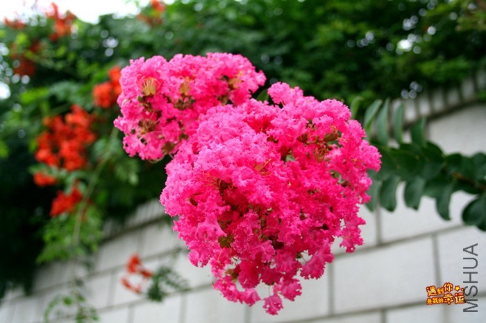 ��Ƭ 016_����.jpg