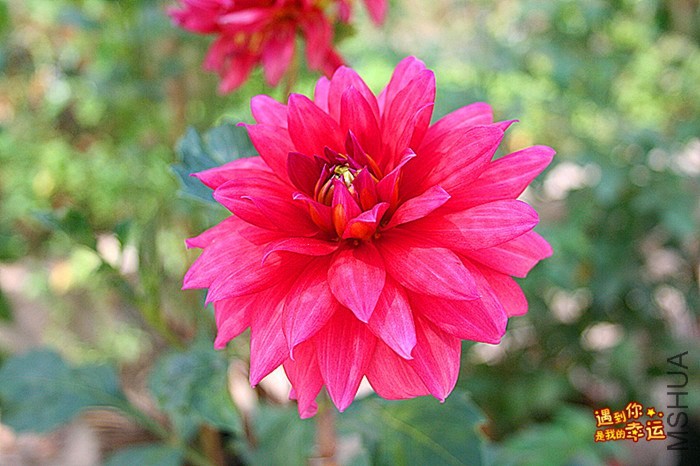 ��Ƭ 041_����.jpg