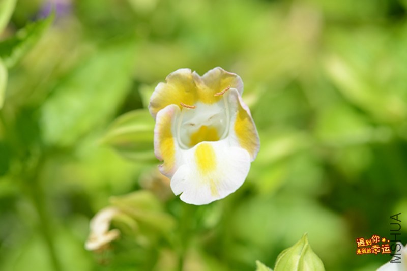 ��Ƭ 075_����.jpg