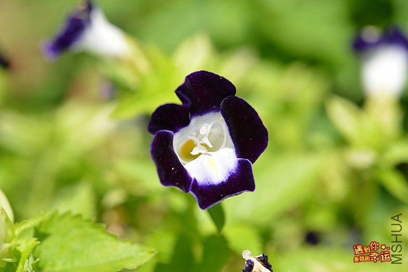 ��Ƭ 076_����.jpg