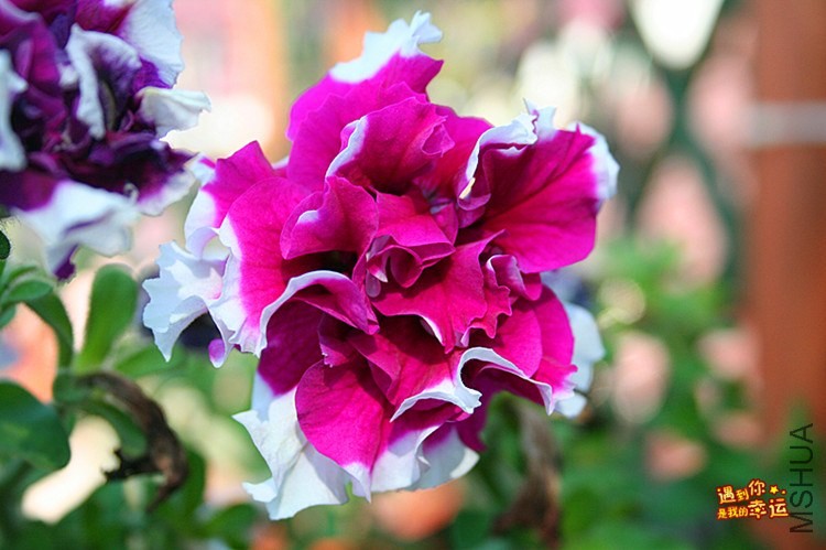 ��Ƭ 026_����.jpg