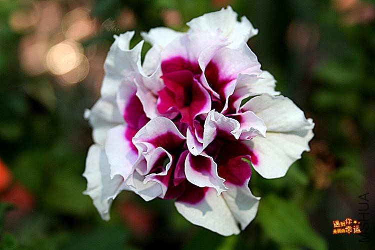 ��Ƭ 028_����.jpg