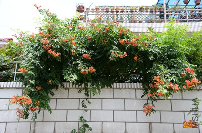 ��Ƭ 021_����.jpg