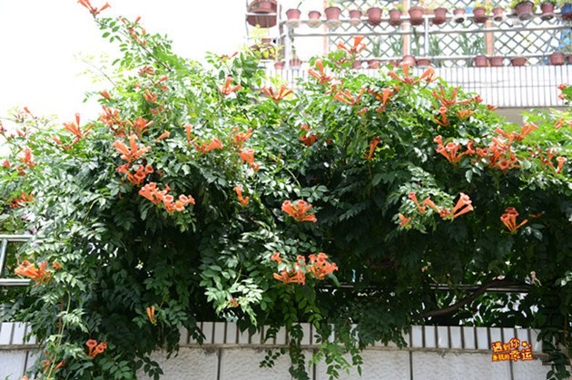 ��Ƭ 023_����.jpg