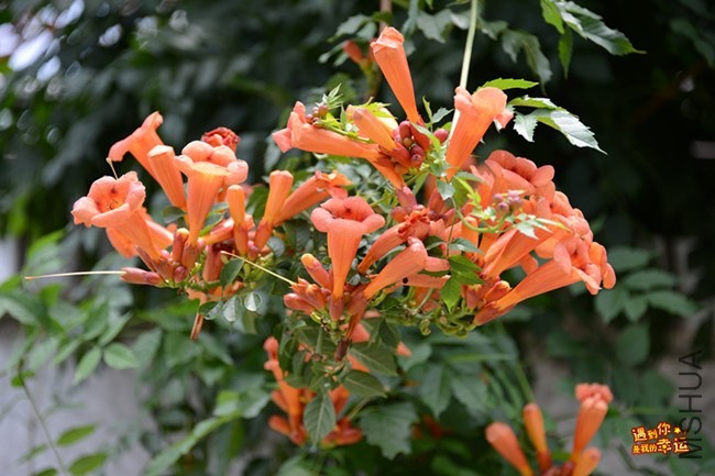 ��Ƭ 025_����.jpg