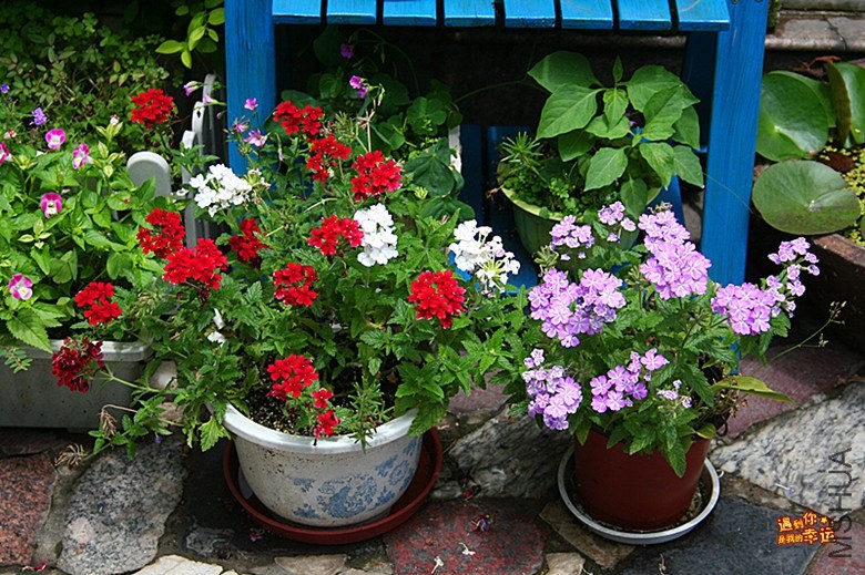 ��Ƭ 020_����.jpg