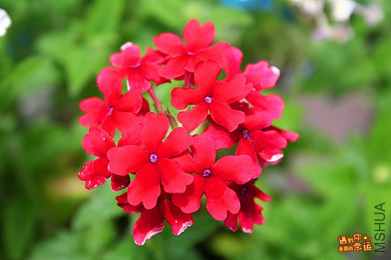 ��Ƭ 023_����.jpg