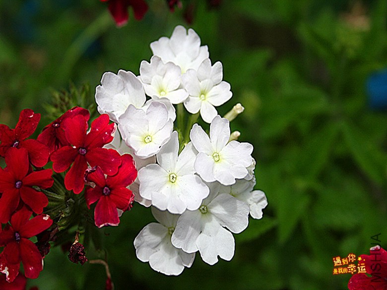 ��Ƭ 024_����.jpg