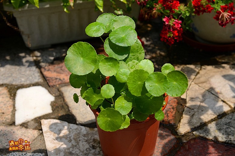 ��Ƭ 016_����.jpg