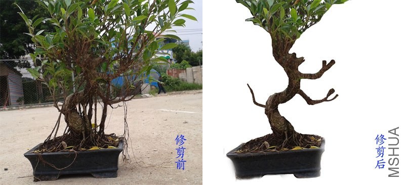 �޼�ǰ��.jpg