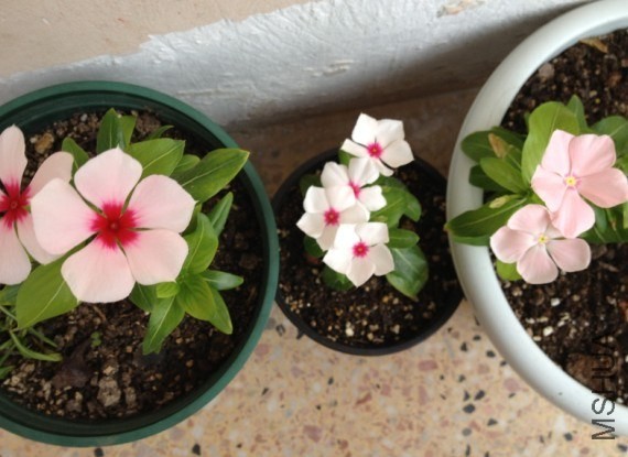 QQͼƬ20130819163142.jpg
