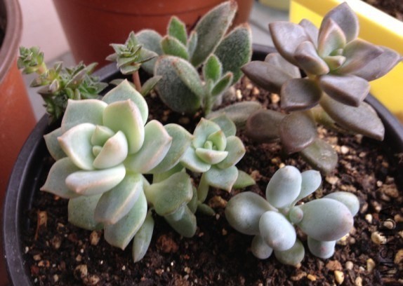 QQͼƬ20130819163131.jpg