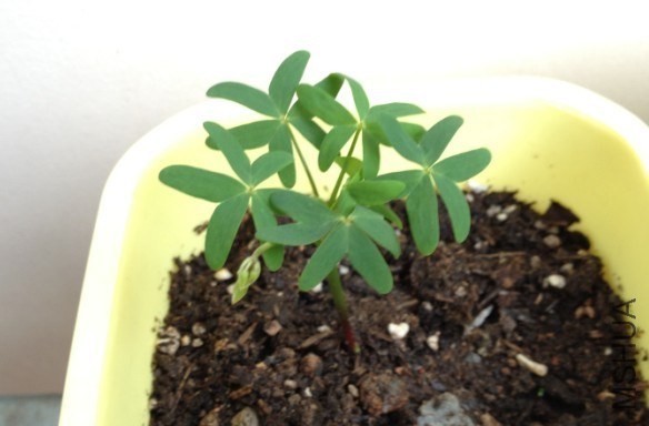 QQͼƬ20130819163127.jpg