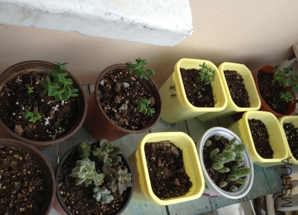 QQͼƬ20130819163019.jpg