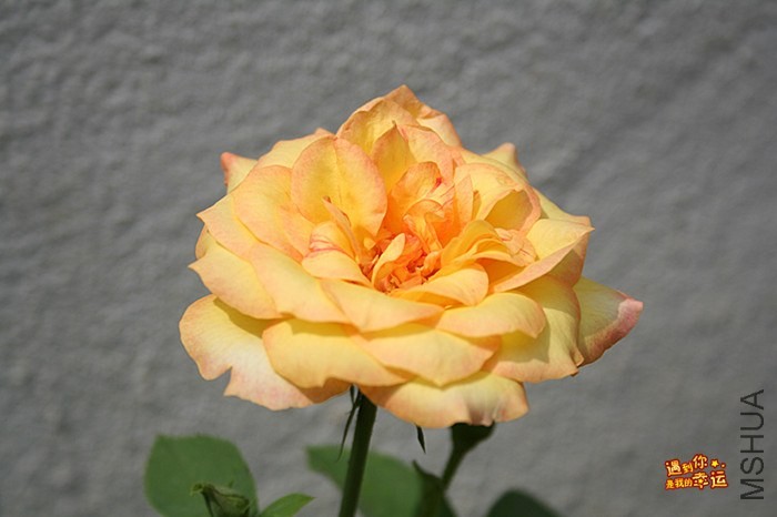 ��Ƭ 034_����.jpg