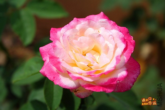 ��Ƭ 036_����.jpg