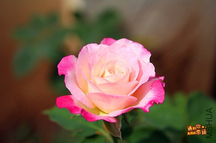 ��Ƭ 037_����.jpg