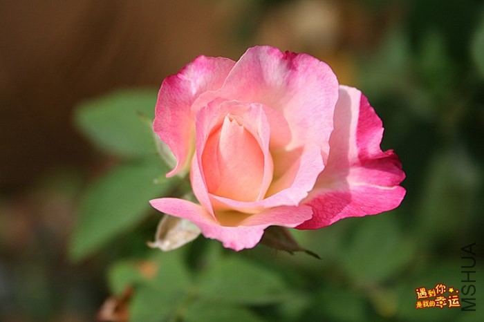 ��Ƭ 040_����.jpg