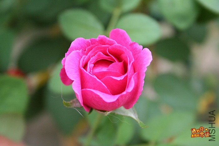 ��Ƭ 032_����.jpg