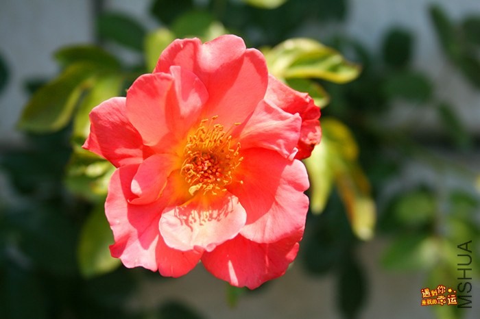 ��Ƭ 112_����.jpg