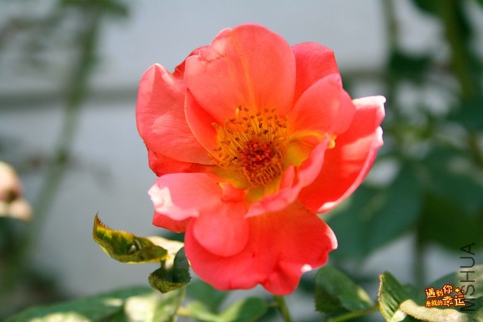 ��Ƭ 113_����.jpg