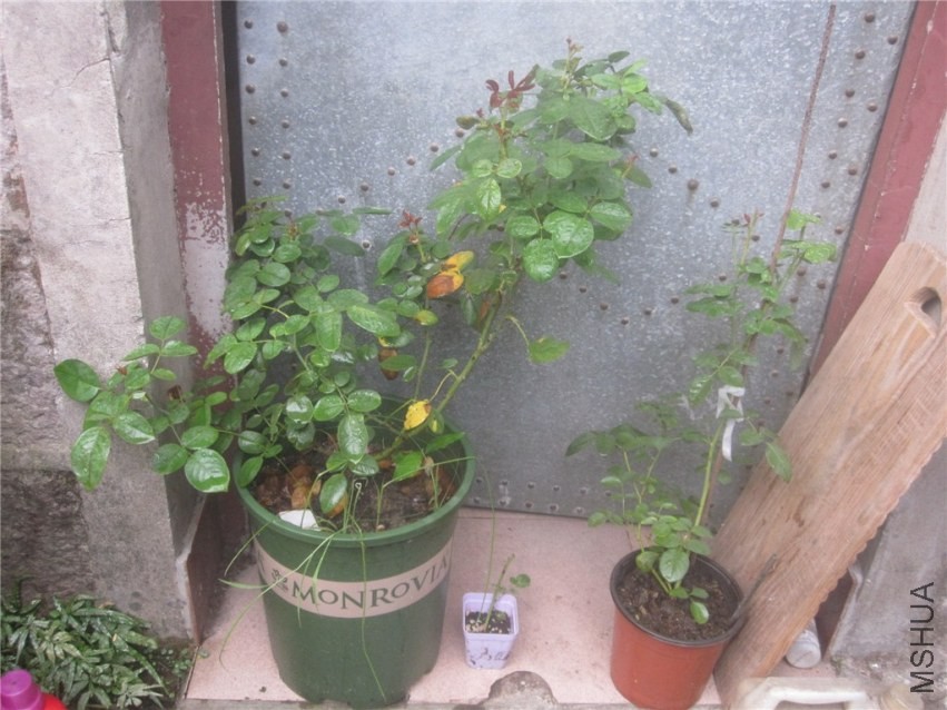 ��Ƭ 084_����.jpg