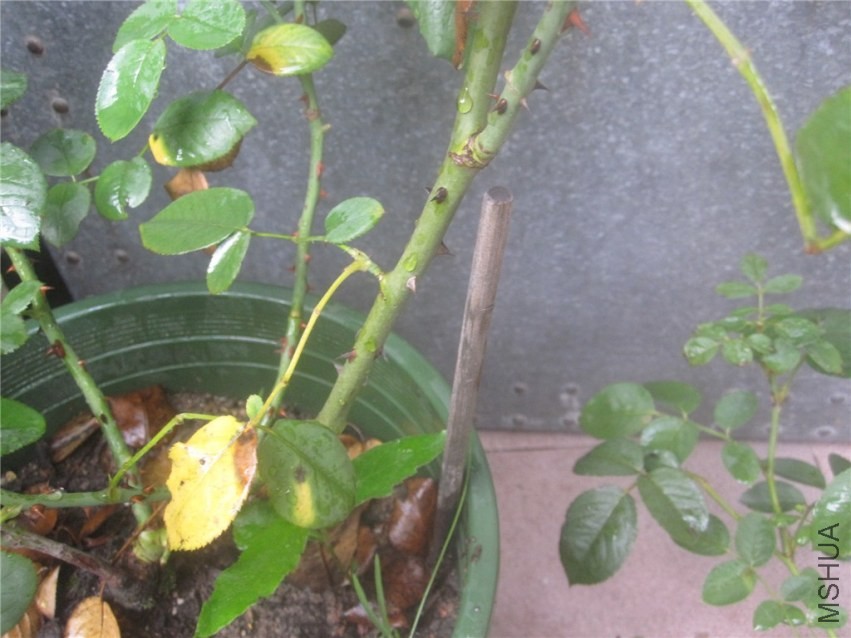 ��Ƭ 087_����.jpg