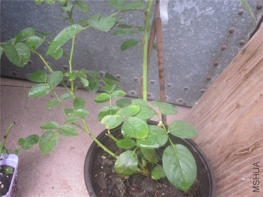 ��Ƭ 086_����.jpg