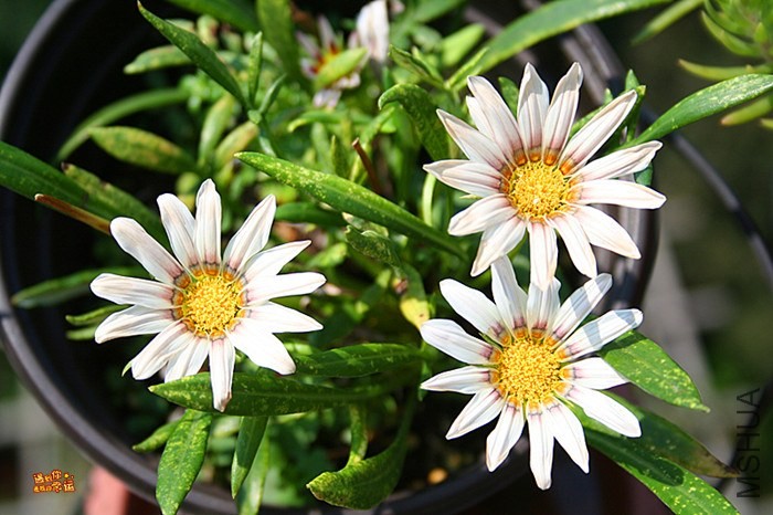 ��Ƭ 060_����.jpg