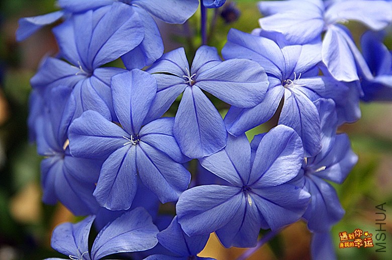 ��Ƭ 041_����.jpg