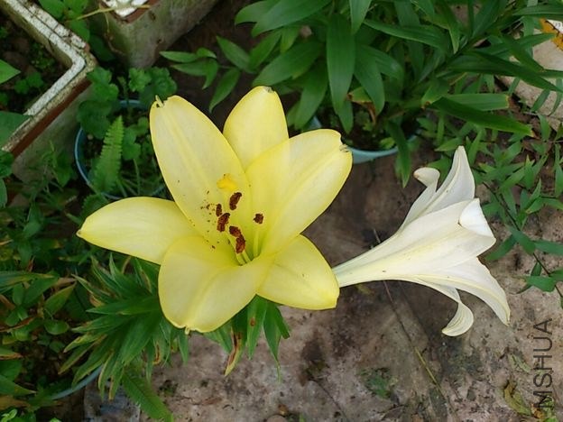 CYMERA_20130512_181516.jpg