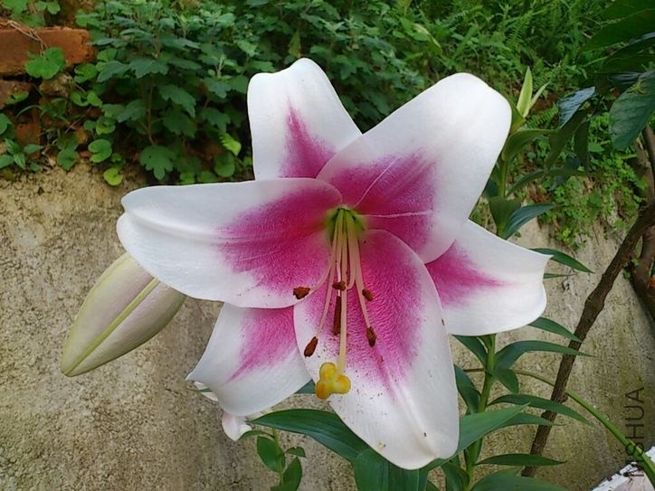 CYMERA_20130512_181449.jpg