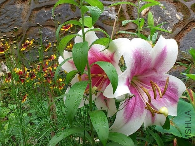 CYMERA_20130515_163506.jpg