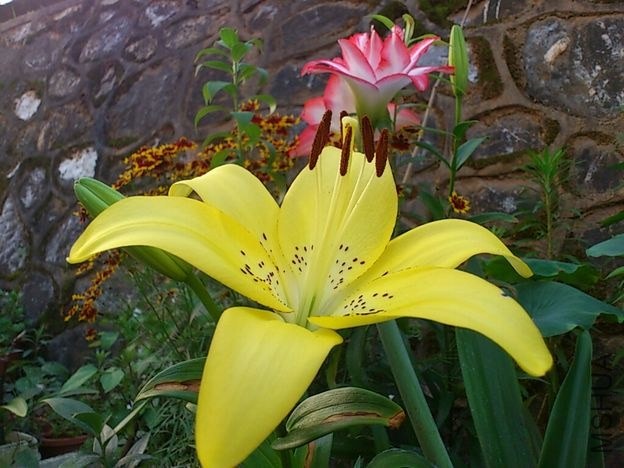 CYMERA_20130522_182148.jpg