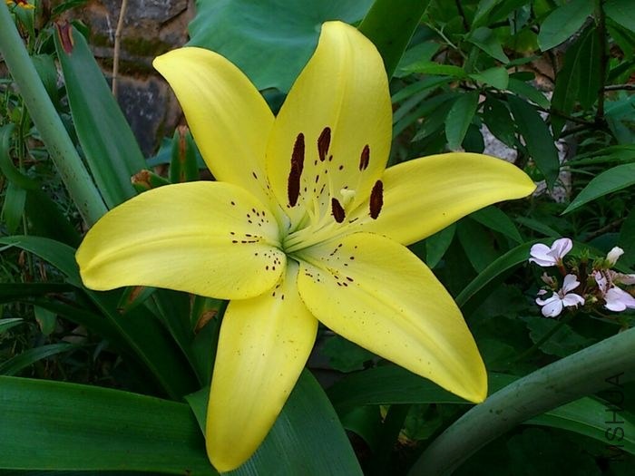 CYMERA_20130527_183150.jpg