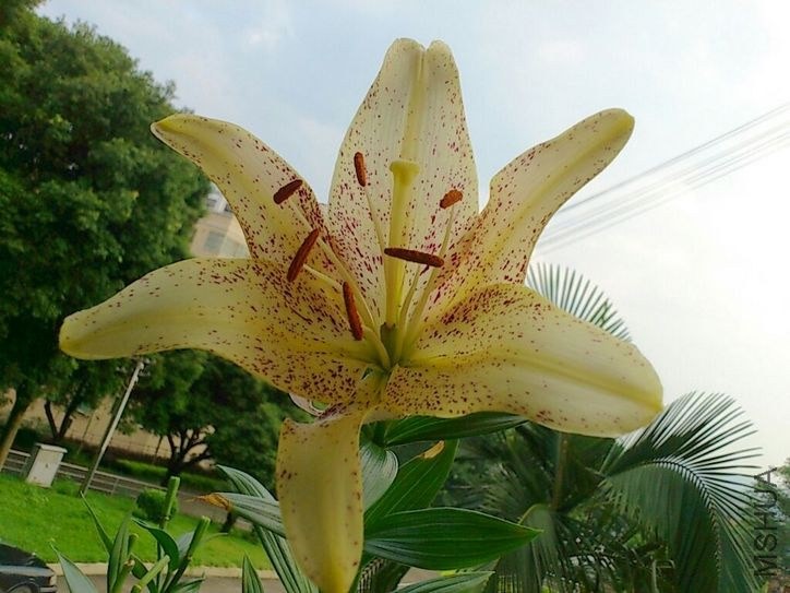 CYMERA_20130528_170528.jpg