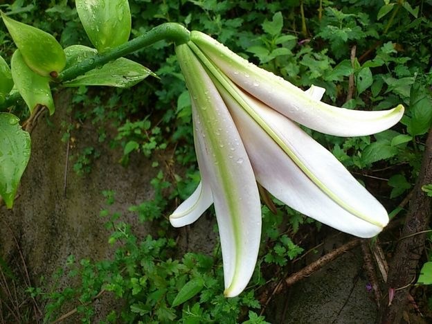 CYMERA_20130605_074047.jpg