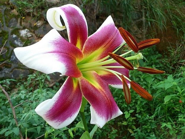 CYMERA_20130605_171034.jpg