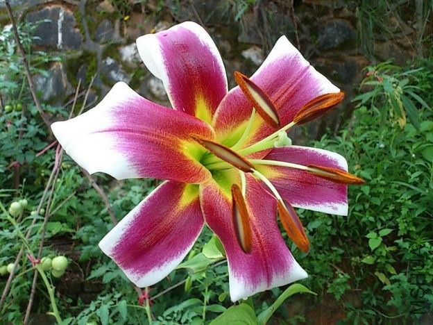 CYMERA_20130605_171026.jpg
