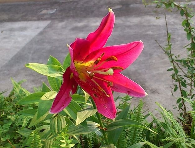 CYMERA_20130607_182358.jpg