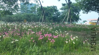 20130821_082230.jpg