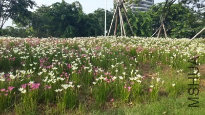 20130821_082302.jpg