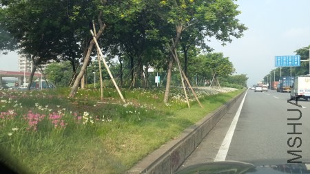 20130821_082225.jpg