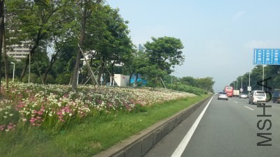 20130821_082238.jpg