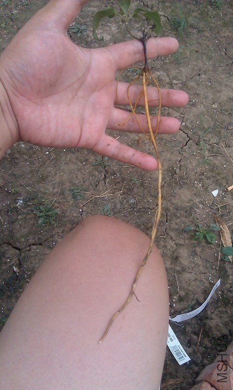 QQͼƬ20130821161756.jpg