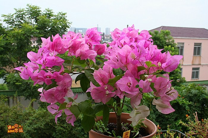 ��Ƭ 001_����.jpg